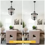 Richardson Industrial Black Wrought Iron Cage Pendant Light Richardson Industrial Black Wrought Iron Cage Pendant Light