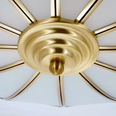 Palmer Retro Acrylic Flower Semi Flush Mount Chandelier