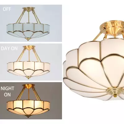 Palmer Retro Acrylic Flower Semi Flush Mount Chandelier