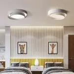 Melady Nordic Irregular Double-Layer Circular Ceiling Light