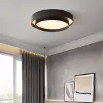 Melady Nordic Irregular Double-Layer Circular Ceiling Light