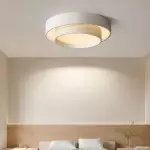 Melady Nordic Irregular Double-Layer Circular Ceiling Light