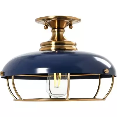 Muir Industrial Caged Dome Metal Semi-Flush Mount Ceiling Light Muir Industrial Caged Dome Metal Semi-Flush Mount Ceiling Light