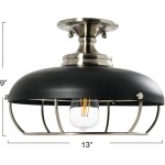 Muir Industrial Caged Dome Metal Semi-Flush Mount Ceiling Light Muir Industrial Caged Dome Metal Semi-Flush Mount Ceiling Light