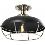 Muir Industrial Caged Dome Metal Semi-Flush Mount Ceiling Light Muir Industrial Caged Dome Metal Semi-Flush Mount Ceiling Light