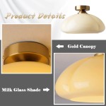 Pugh Retro Pumpkin Glass Semi Flush Mount Ceiling Light Pugh Retro Pumpkin Glass Semi Flush Mount Ceiling Light