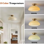 Pugh Retro Pumpkin Glass Semi Flush Mount Ceiling Light Pugh Retro Pumpkin Glass Semi Flush Mount Ceiling Light