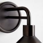 Kemp Industrial Black Brass Metal Indoor/Outdoor Wall Light