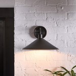 Kemp Industrial Black Brass Metal Indoor/Outdoor Wall Light