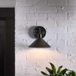 Kemp Industrial Black Brass Metal Indoor/Outdoor Wall Light