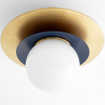 Ilincic Modern Morandi Globe Brass Ceiling Light