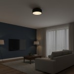 Dixon Modern Powder-coated Metal Round Flush Mount Ceiling Light