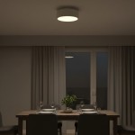 Dixon Modern Powder-coated Metal Round Flush Mount Ceiling Light