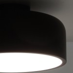 Dixon Modern Powder-coated Metal Round Flush Mount Ceiling Light