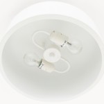 Dixon Modern Powder-coated Metal Round Flush Mount Ceiling Light