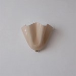 Kyrintha Mid-Century Modern Skirt Shell Glass Wall Sconce