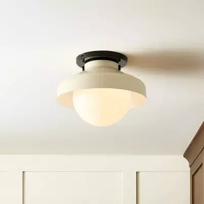 Caius Modern Simple Bowl Shape Ceiling Light