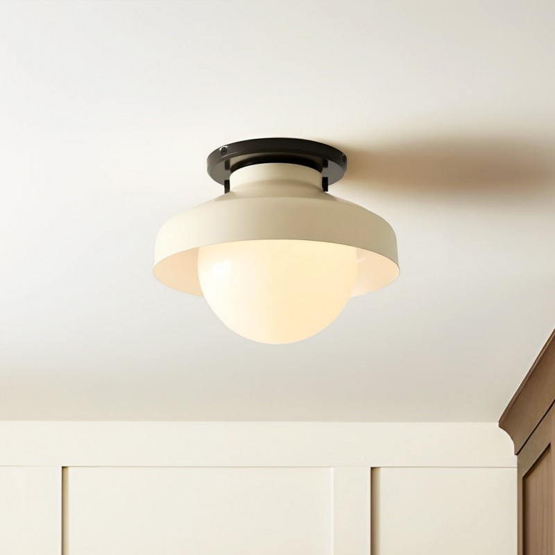 Caius Modern Simple Bowl Shape Ceiling Light