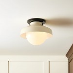 Caius Modern Simple Bowl Shape Ceiling Light