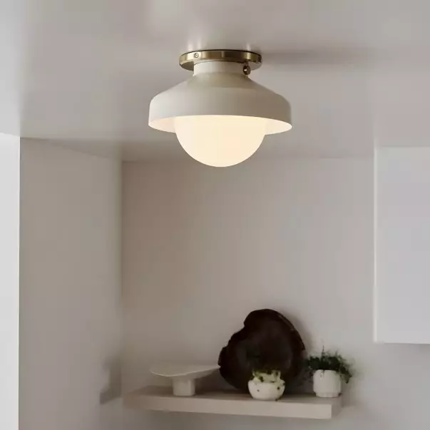 Caius Modern Simple Bowl Shape Ceiling Light