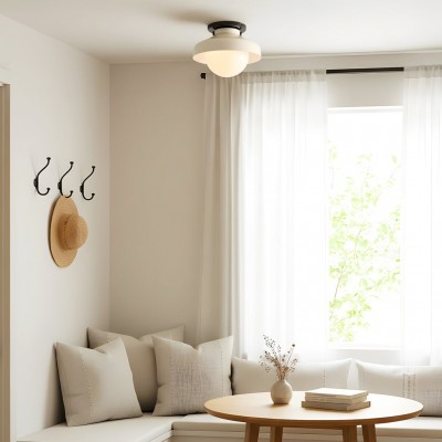 Caius Modern Simple Bowl Shape Ceiling Light