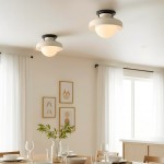 Caius Modern Simple Bowl Shape Ceiling Light