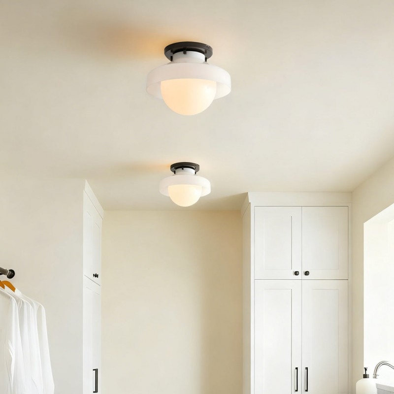 Caius Modern Simple Bowl Shape Ceiling Light