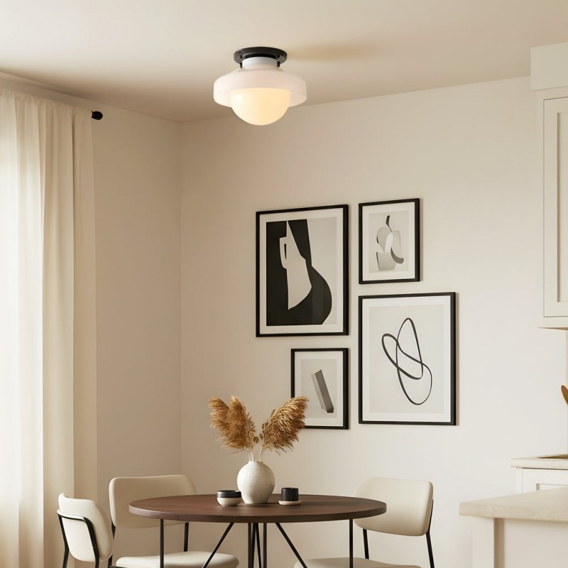 Caius Modern Simple Bowl Shape Ceiling Light