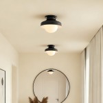Drilon Modern Simple Bowl Shape Ceiling Light