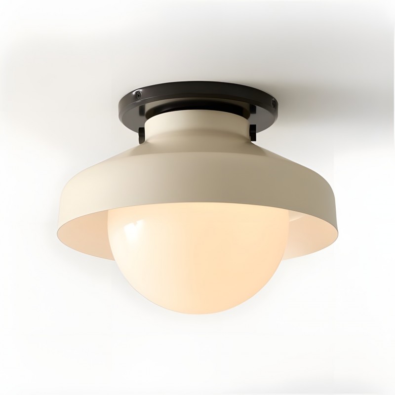 Caius Modern Simple Bowl Shape Ceiling Light