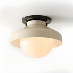 Caius Modern Simple Bowl Shape Ceiling Light