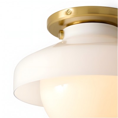 Caius Modern Simple Bowl Shape Ceiling Light