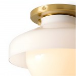 Caius Modern Simple Bowl Shape Ceiling Light