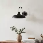 Gwydion Modern Farmhouse Dome Exterior Wall Light