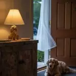 Aurea Unique Animal Table Lamp - Dog Sculptural Accent Lighting for Bedroom & Living Room