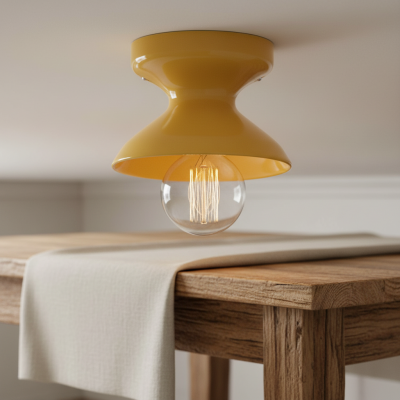 Lunavel Modern Ceramic Mount Ceiling Light Fixture