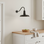 Elarion Industrial Gooseneck Exterior Wall Light