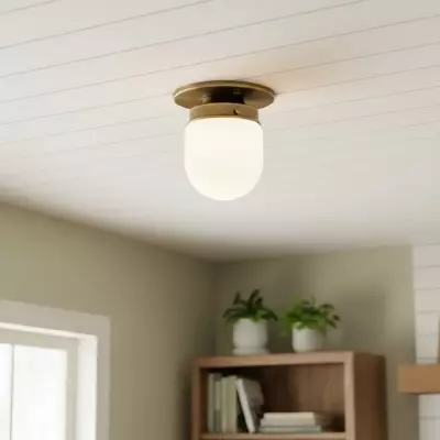 Roger Modern Brass Flush Mount Metal Ceiling Light