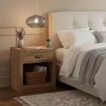 Lunaris Modern Globe Glass Pendant Light