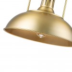 Soliviel Industrial Metal Dome Pendant Light