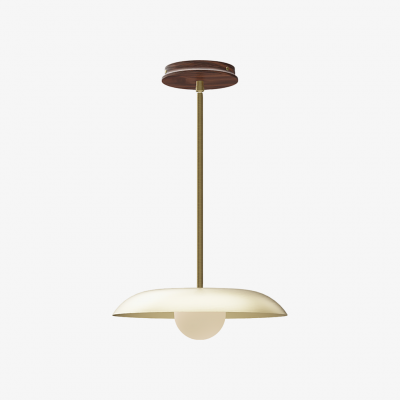 Eiralys Industrial Metal Dome Pendant Light