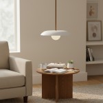 Eiralys Industrial Metal Dome Pendant Light