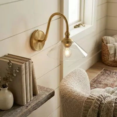 Cygnira Vintage Brass Glass Curved Neck Wall Light