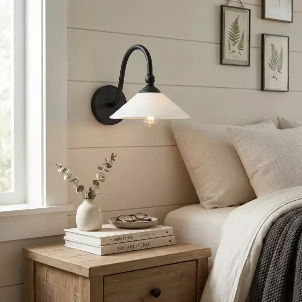 Cygnira Vintage Brass Glass Curved Neck Wall Light