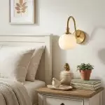 Cygnira Vintage Brass Glass Curved Neck Wall Light