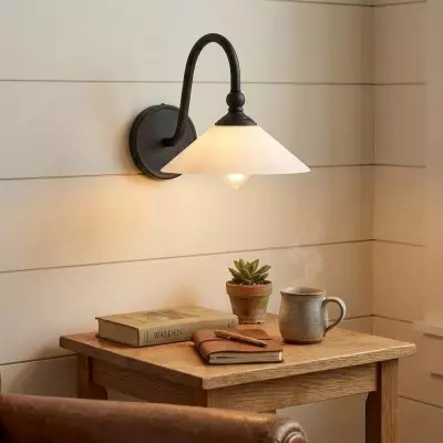 Cygnira Vintage Brass Glass Curved Neck Wall Light