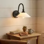 Cygnira Vintage Brass Glass Curved Neck Wall Light