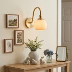 Cygnira Vintage Brass Glass Curved Neck Wall Light