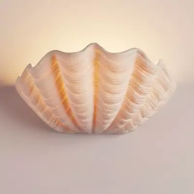 Virelith Modern Ceramic Shell Wall light
