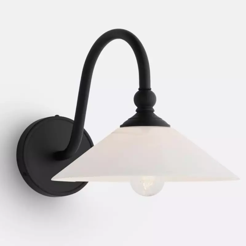 Cygnira Vintage Brass Glass Curved Neck Wall Light